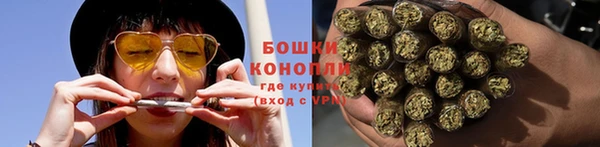 молекула духа Осинники