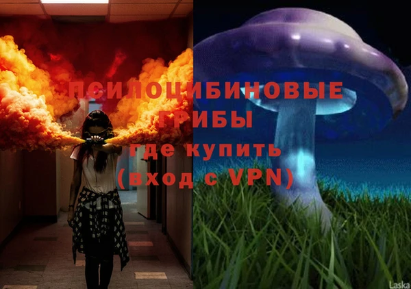 спиды Балахна